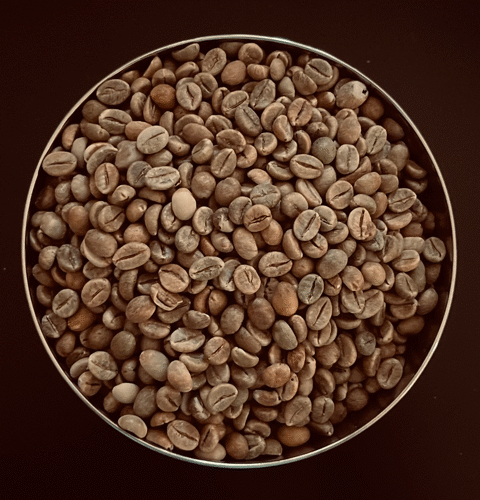 Robusta